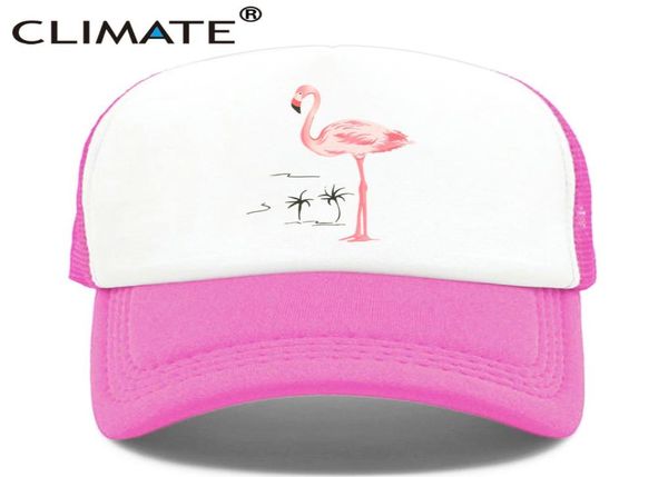 climate flamingo cap girls women hat pink rose cap cute lovely summer caps hat hip hop mesh baseball caps for women4572435, Blue;gray
climate flamingo cap girls women hat pink rose cap cute lovely summer caps hat hip hop mesh baseball caps for women4572435, Blue;gray