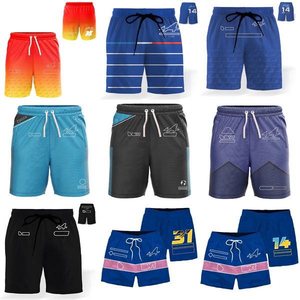 2023 f1 team men's shorts formula 1 driver sport pants racing logo printed oversized shorts summer new men gym beach short pants
2023 f1 team men's shorts formula 1 driver sport pants racing logo printed oversized shorts summer new men gym beach short pants
