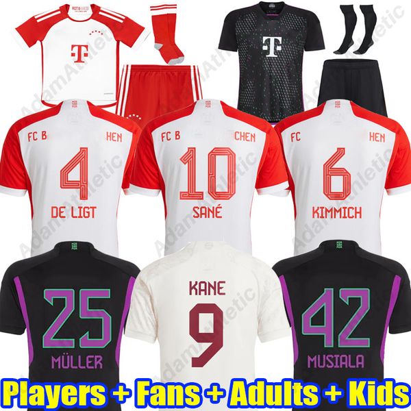 die roten soccer jersey 2023 2024 stern des sudens jersey men kids kit player version football shirts 23/24, Black;yellow
die roten soccer jersey 2023 2024 stern des sudens jersey men kids kit player version football shirts 23/24, Black;yellow