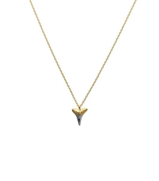 european and american insfever s925 silver retroroman wind relief gold coin gold necklace overlapping clavicle chain woman235v7955032
european and american insfever s925 silver retroroman wind relief gold coin gold necklace overlapping clavicle chain woman235v7955032