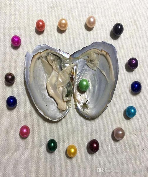whole 2020 diy 912mm colored edison round grade a pearl in oyster with vacuum packing fashion trend gift surprise3793817, White
whole 2020 diy 912mm colored edison round grade a pearl in oyster with vacuum packing fashion trend gift surprise3793817, White