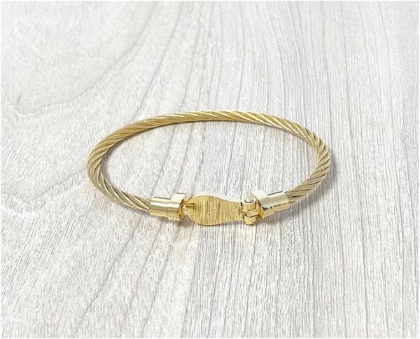 men vintage stainless steel mens wire cable gold bangle bracelets for boys male jewelry with box with stamp whole8918804, Golden;silver
men vintage stainless steel mens wire cable gold bangle bracelets for boys male jewelry with box with stamp whole8918804, Golden;silver