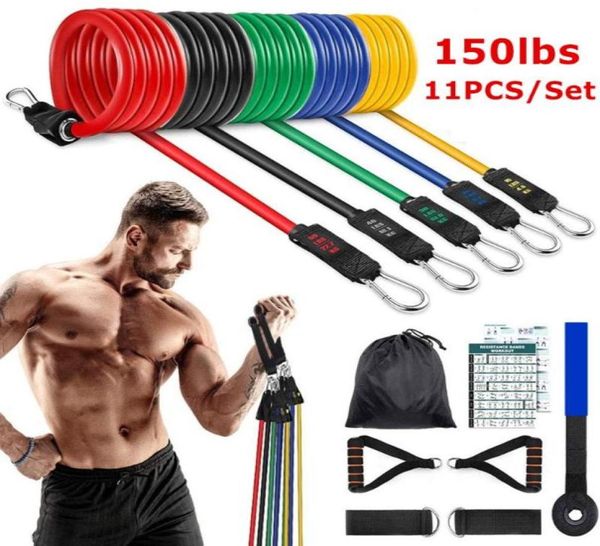 resistance bands 150lbs exercise set 11pcs with handles fitness workout ankle straps door equipment for home gym3596308
resistance bands 150lbs exercise set 11pcs with handles fitness workout ankle straps door equipment for home gym3596308