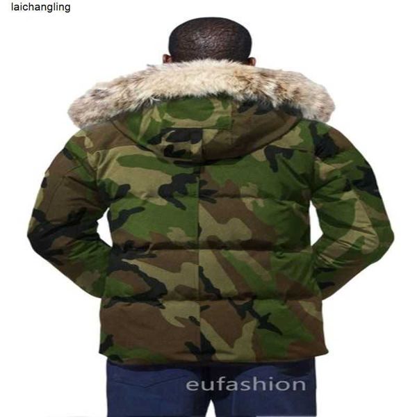 winter men down jackets real coyote fur designer homme puffer outdoor windbreaker jassen outerwear hooded fourrure manteau jacket vb1o, Black
winter men down jackets real coyote fur designer homme puffer outdoor windbreaker jassen outerwear hooded fourrure manteau jacket vb1o, Black