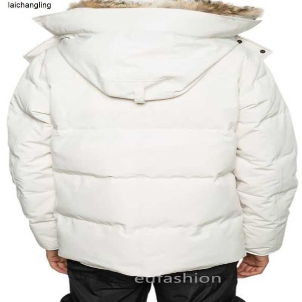 winter men down jackets real coyote fur designer homme puffer outdoor windbreaker jassen outerwear hooded fourrure manteau jacket 09ix, Black
winter men down jackets real coyote fur designer homme puffer outdoor windbreaker jassen outerwear hooded fourrure manteau jacket 09ix, Black