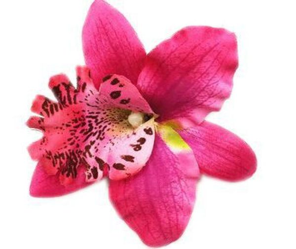 bohemian orchid hairpin holiday beach flower headdress with clip brooch corsage hair head clip headdress whole4670828, Golden;silver
bohemian orchid hairpin holiday beach flower headdress with clip brooch corsage hair head clip headdress whole4670828, Golden;silver