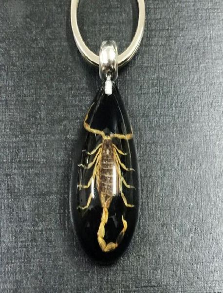 fashion jewelry yqtdmy key chains 17 pcs real insect gold scorpion key ring black drop design keychain6505597, Slivery;golden
fashion jewelry yqtdmy key chains 17 pcs real insect gold scorpion key ring black drop design keychain6505597, Slivery;golden