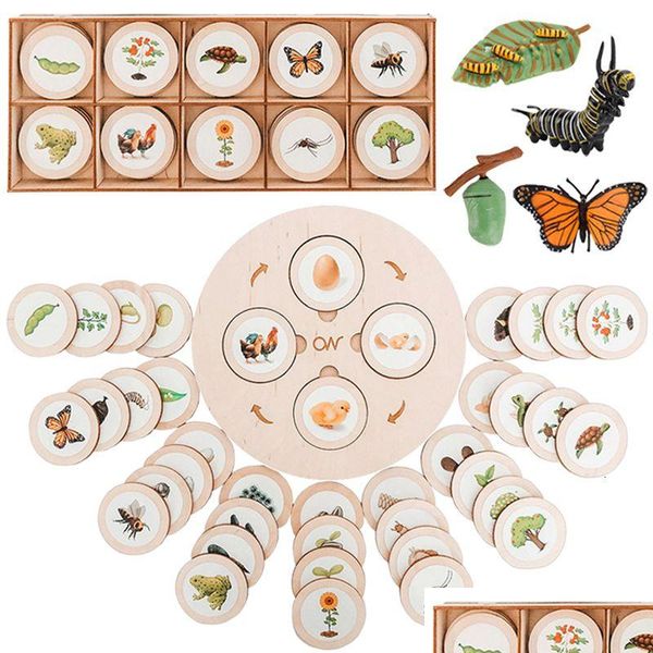 Discovery Science Disery Life Cycle Board Montessori Kit Biology Education Toys For Kids Sensory Tray Animal Figure Sorting Wooden Dhek5
Discovery Science Disery Life Cycle Board Montessori Kit Biology Education Toys For Kids Sensory Tray Animal Figure Sorting Wooden Dhek5