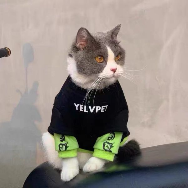 Dog Hoodie for Cats Dogs,Warm Dog Sweatshirt Cat Clothes Soft Pullover Fleece Dog Sweater, Black
Dog Hoodie for Cats Dogs,Warm Dog Sweatshirt Cat Clothes Soft Pullover Fleece Dog Sweater, Black