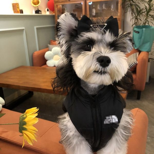 Warm Dog Coat, Dog Jacket Dog Winter Coat Dog Clothes Pet Dog Cold Weather Coats Cozy Snow Jacket Vest for Dogs, Black
Warm Dog Coat, Dog Jacket Dog Winter Coat Dog Clothes Pet Dog Cold Weather Coats Cozy Snow Jacket Vest for Dogs, Black
