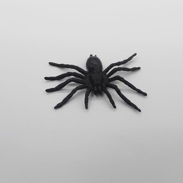 halloween Trick and Decor Toys, Decorative Items, Props, Simulation Spiders, 4 Plastic False Spiders, Black Large Spiders(12 pieces per piece)
halloween Trick and Decor Toys, Decorative Items, Props, Simulation Spiders, 4 Plastic False Spiders, Black Large Spiders(12 pieces per piece)