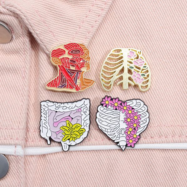 Flower Organ Series Pins Rib Kidney Brain Lung Heart Model Metal Pin European Women Alloy Enamel Backpacks Brooch Badge Funny Safety Jewelry
Flower Organ Series Pins Rib Kidney Brain Lung Heart Model Metal Pin European Women Alloy Enamel Backpacks Brooch Badge Funny Safety Jewelry