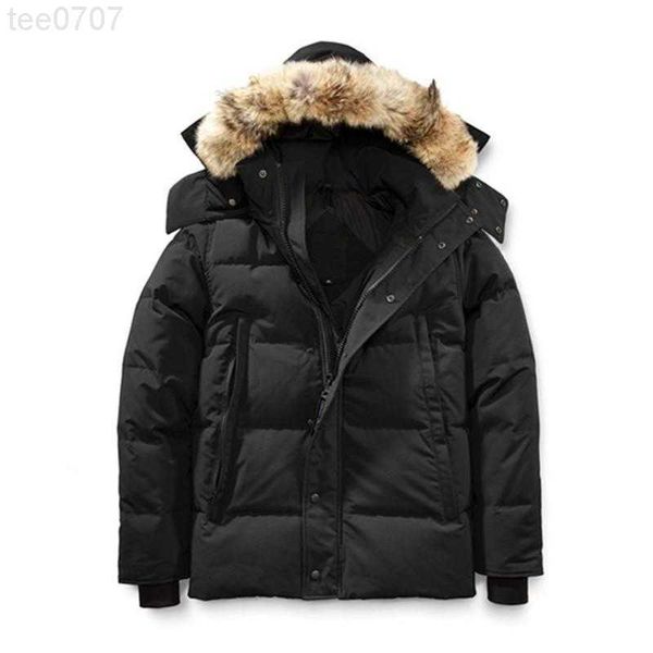 designer 8lwh winter fourrure down parka homme jassen chaquetas outerwear wolf fur hooded fourrure manteau wyndham canada down jacket size x, Black
designer 8lwh winter fourrure down parka homme jassen chaquetas outerwear wolf fur hooded fourrure manteau wyndham canada down jacket size x, Black