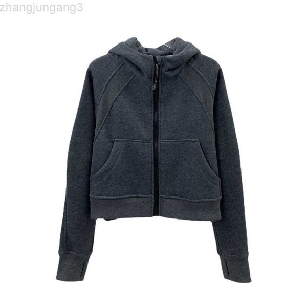women's tracksuits women designer short jacket lulus autumn and winter new scuba woman yoga sports leisure full zip jackets plush hoodi, Gray
women's tracksuits women designer short jacket lulus autumn and winter new scuba woman yoga sports leisure full zip jackets plush hoodi, Gray