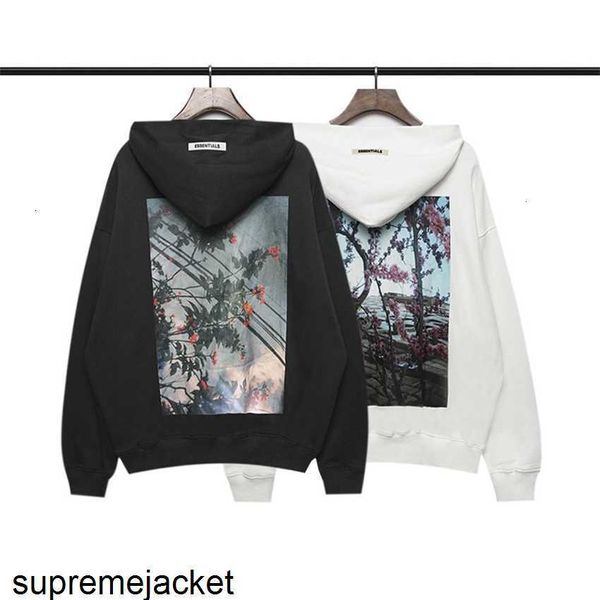 hoodie jacket essentials multi thread flower hoodie men's and women's high street, Black;brown
hoodie jacket essentials multi thread flower hoodie men's and women's high street, Black;brown