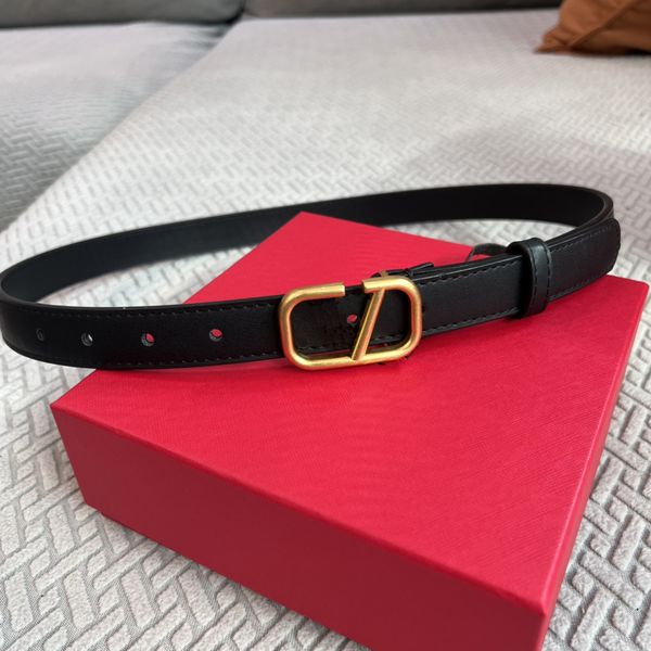 classic designers belt solid color belts for women letter luxury designer belt pin needle buckle beltss 6 colors width 2.5 cm size 100-110ca, Black;brown
classic designers belt solid color belts for women letter luxury designer belt pin needle buckle beltss 6 colors width 2.5 cm size 100-110ca, Black;brown