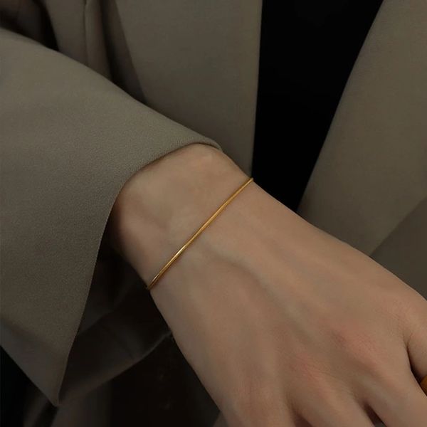 other bracelets jujie 316l stainless steel round snake chain bracelet for women minimalist link jewelry wholesale drop 230104, Golden;silver
other bracelets jujie 316l stainless steel round snake chain bracelet for women minimalist link jewelry wholesale drop 230104, Golden;silver