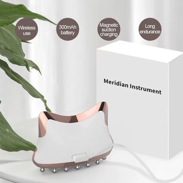 home beauty instrument multifunctional micro electric meridians brush neck face ems scraping plate portable device
home beauty instrument multifunctional micro electric meridians brush neck face ems scraping plate portable device
