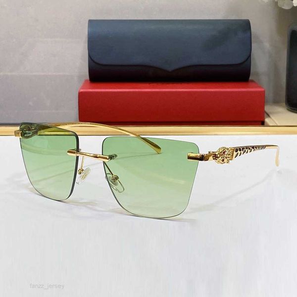 green carti designer man sunglasses for women fashion eyewear leopard polarized glasses anti blue light uv lens coating metal frame screw go, White;black
green carti designer man sunglasses for women fashion eyewear leopard polarized glasses anti blue light uv lens coating metal frame screw go, White;black