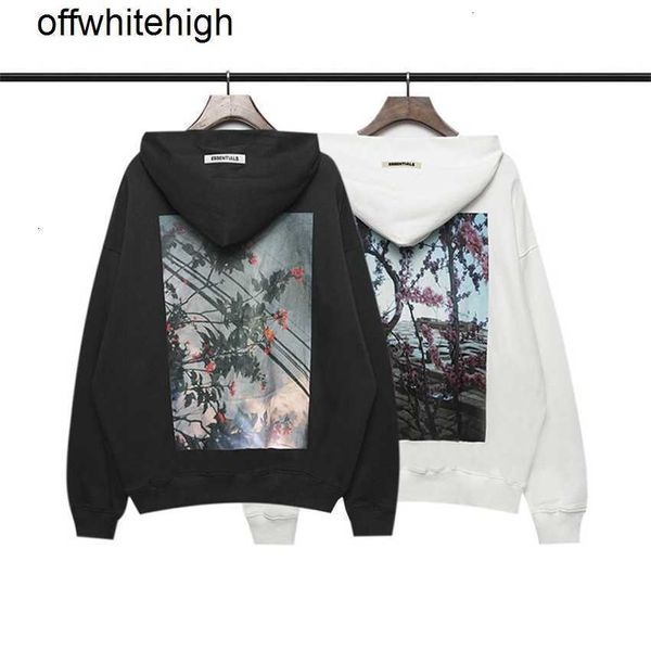 hoodie jacket essentials multi thread flower hoodie men's and women's high street, Black;brown
hoodie jacket essentials multi thread flower hoodie men's and women's high street, Black;brown