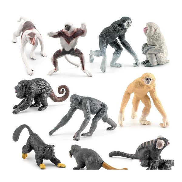 Discovery Science Educational Primates Animal Action Figures Simation Realistic Lifelike Learning Bath Toys For Kids Birthday Part Dhusk
Discovery Science Educational Primates Animal Action Figures Simation Realistic Lifelike Learning Bath Toys For Kids Birthday Part Dhusk