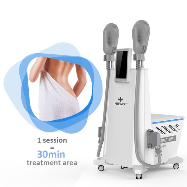 hiemt slimming machine pelvic floor 2 handle rf ems fitness muscle building body sculpting instrument pain relief neo fat burning weightloss
hiemt slimming machine pelvic floor 2 handle rf ems fitness muscle building body sculpting instrument pain relief neo fat burning weightloss