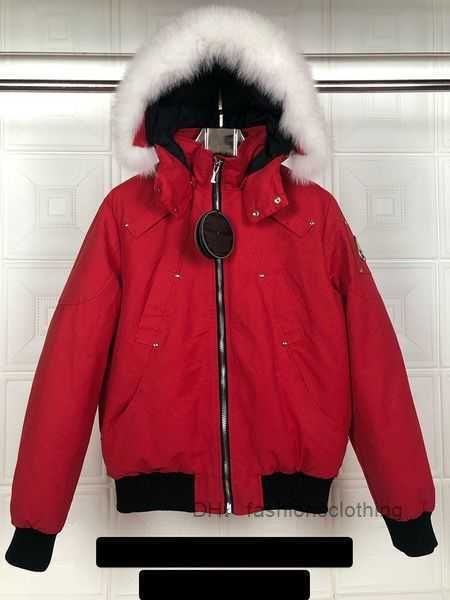 men bomber down jacket knuckles real wolf fur patch parkas zipper pockets warm short outwear mens rib cuff ruff winter 1 mooses knuckles 6m1, Black
men bomber down jacket knuckles real wolf fur patch parkas zipper pockets warm short outwear mens rib cuff ruff winter 1 mooses knuckles 6m1, Black