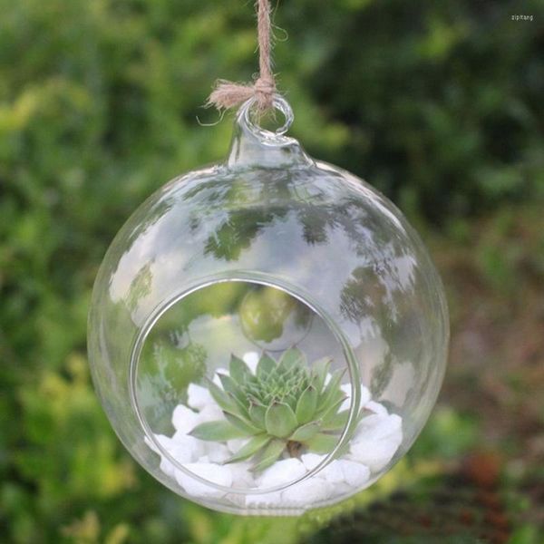 vases 6/8/10cm clear glass ball globe shape terrarium flower hanging planter container landscape ornament garden decor
vases 6/8/10cm clear glass ball globe shape terrarium flower hanging planter container landscape ornament garden decor