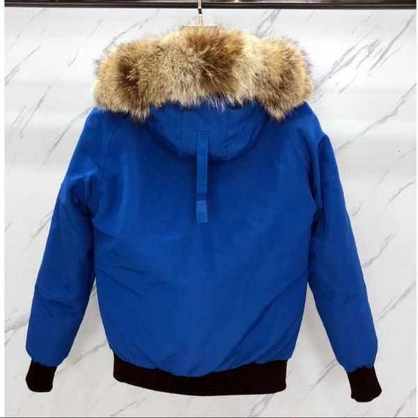 2023 men winter down jackets parkas jassen chaquetas outerwear wolf fur hoodeds manteaus wyndhams jacket coat letters printed outwearsg7qh, Black;brown
2023 men winter down jackets parkas jassen chaquetas outerwear wolf fur hoodeds manteaus wyndhams jacket coat letters printed outwearsg7qh, Black;brown