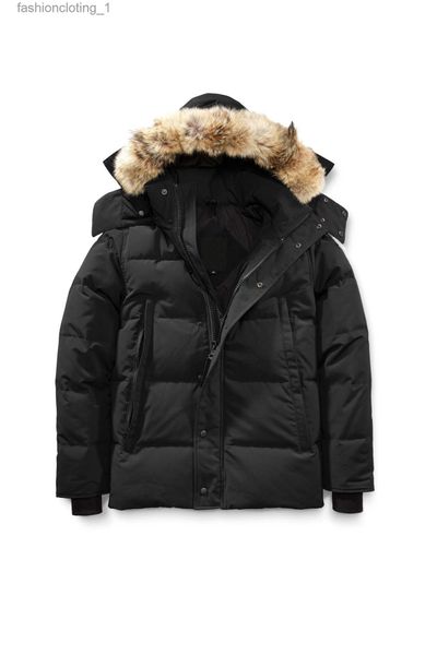 canada 46 wyndhams down jacket mens womens designers parka winter jassen outerwear hooded fourrure puffer jackets coats hiver parkas, Black
canada 46 wyndhams down jacket mens womens designers parka winter jassen outerwear hooded fourrure puffer jackets coats hiver parkas, Black