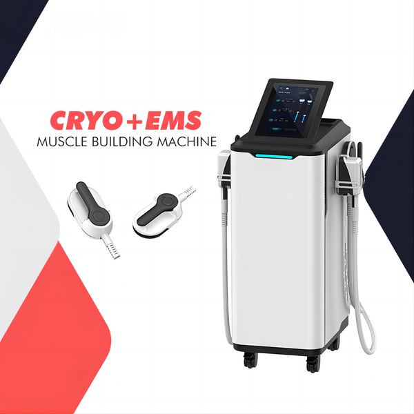 2023 2 in 1 emslim cryolipolysis fat e hi-emt slimming machine muscle stimulator ems sculpting muscle trainer body sculpt shaping weight los
2023 2 in 1 emslim cryolipolysis fat e hi-emt slimming machine muscle stimulator ems sculpting muscle trainer body sculpt shaping weight los