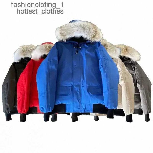 canada designer winter outdoor leisure sports down jacket white duck windproof parker long leather collar cap warm stylish jackets adventure, Black
canada designer winter outdoor leisure sports down jacket white duck windproof parker long leather collar cap warm stylish jackets adventure, Black