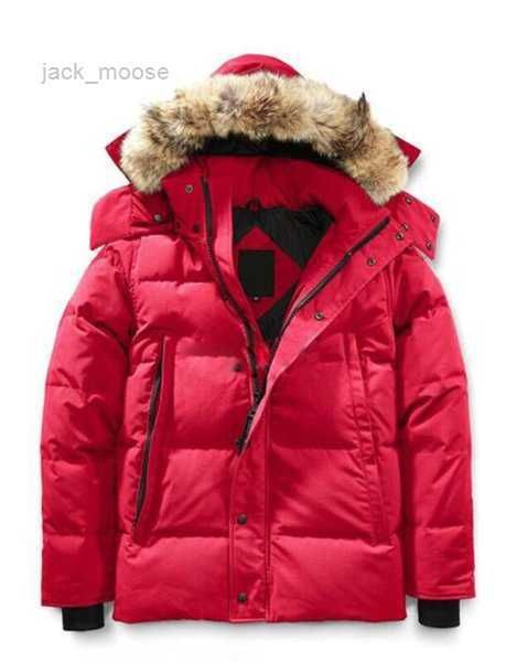 canada winter fourrure down parka homme jassen chaquetas outerwear wolf fur hooded manteau wyndham canada jacket coat hiver doudoune goose 4, Black
canada winter fourrure down parka homme jassen chaquetas outerwear wolf fur hooded manteau wyndham canada jacket coat hiver doudoune goose 4, Black