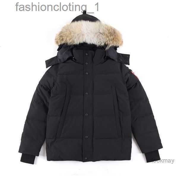 mens down jacket goose coat real big wolf fur canadian wyndham overcoat clothing fashion style winter outerwear parka zcc8, Black
mens down jacket goose coat real big wolf fur canadian wyndham overcoat clothing fashion style winter outerwear parka zcc8, Black