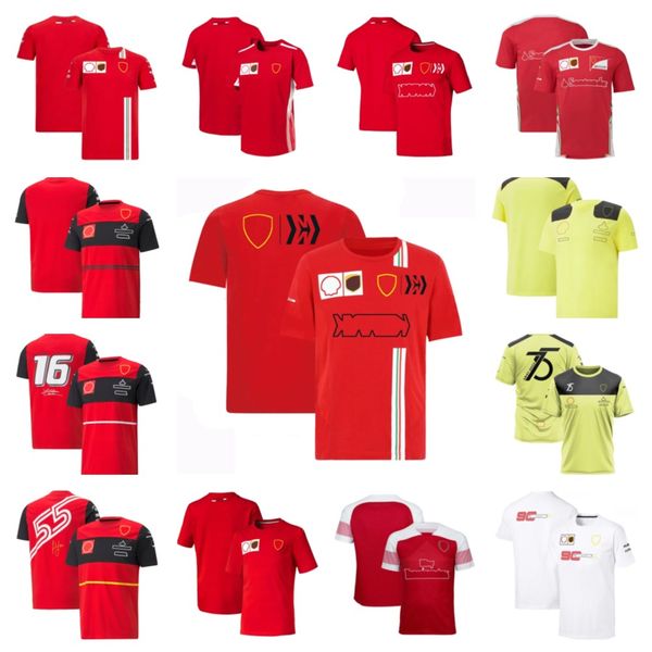 f1 formula one racing clothes new team driver t-shirts in summer customized quick-drying short-sleeved t-shirts
f1 formula one racing clothes new team driver t-shirts in summer customized quick-drying short-sleeved t-shirts