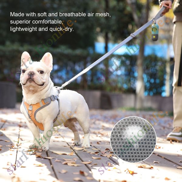 dog collars & leashes the pet chest back dog leash suit leather necklace collar sets outdoor durable
dog collars & leashes the pet chest back dog leash suit leather necklace collar sets outdoor durable