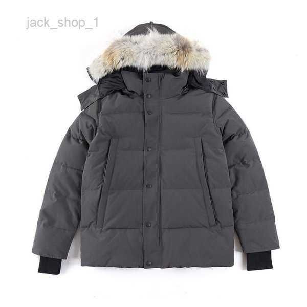 canada down jacket parkas mens outerwear high-end hooded wolf fur windproof waterproof padded thicken coat removable cap coats outdoor jacke, Black
canada down jacket parkas mens outerwear high-end hooded wolf fur windproof waterproof padded thicken coat removable cap coats outdoor jacke, Black