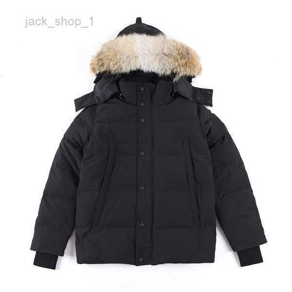 canada down jacket parkas mens outerwear high-end hooded wolf fur windproof waterproof padded thicken coat removable cap coats outdoor jacke, Black
canada down jacket parkas mens outerwear high-end hooded wolf fur windproof waterproof padded thicken coat removable cap coats outdoor jacke, Black