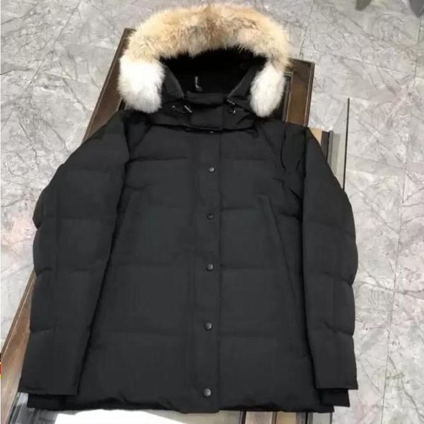 2022 down jacket hooded autumn and winter style for men women windbreaker coat long sleeves fashion jackets with zippers letters printe mpum, Black
2022 down jacket hooded autumn and winter style for men women windbreaker coat long sleeves fashion jackets with zippers letters printe mpum, Black