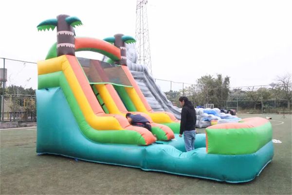 outdoor games commerical grade pvc plam tree inflatable water slide backyard jumper bouncer slide water slides
outdoor games commerical grade pvc plam tree inflatable water slide backyard jumper bouncer slide water slides