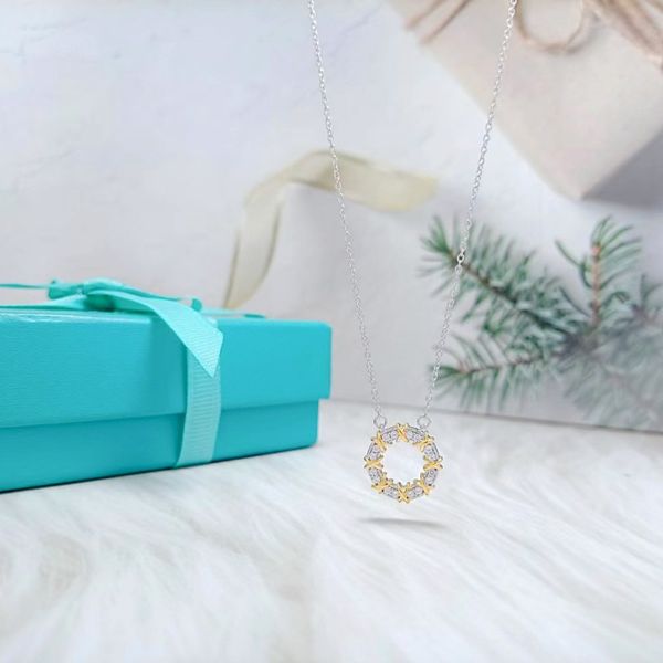 new fashion s925 silver necklace, wreath and diamond women's pendant, european and american girls' holiday jewelry gift factory
new fashion s925 silver necklace, wreath and diamond women's pendant, european and american girls' holiday jewelry gift factory