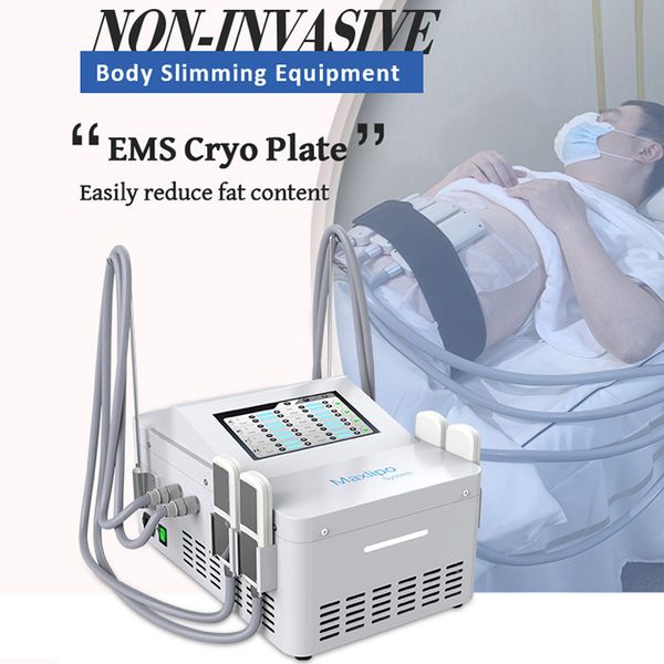2 in 1 cool tech sculpting fat ing slimming machine 360 cryotherapy fat e equipment with ems function cryo pads plate muscle builing fat los
2 in 1 cool tech sculpting fat ing slimming machine 360 cryotherapy fat e equipment with ems function cryo pads plate muscle builing fat los
