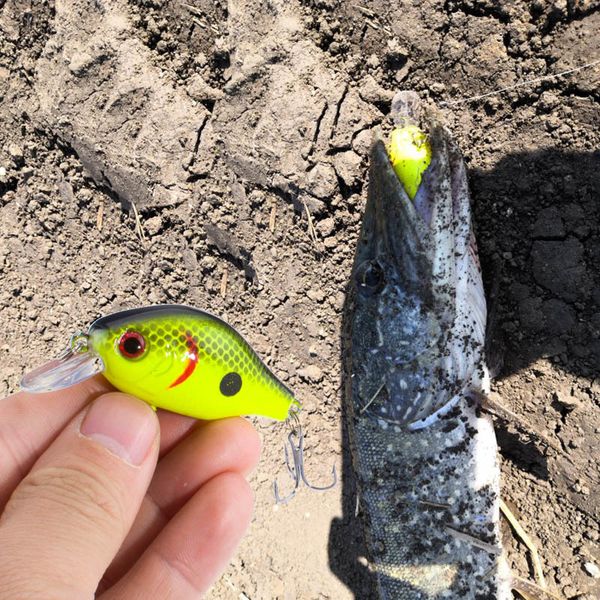 baits lures 1pcs 55cm 9g pesca crankbait hard bait tackle artificial lures swimbait fish japan wobbler 230801
baits lures 1pcs 55cm 9g pesca crankbait hard bait tackle artificial lures swimbait fish japan wobbler 230801