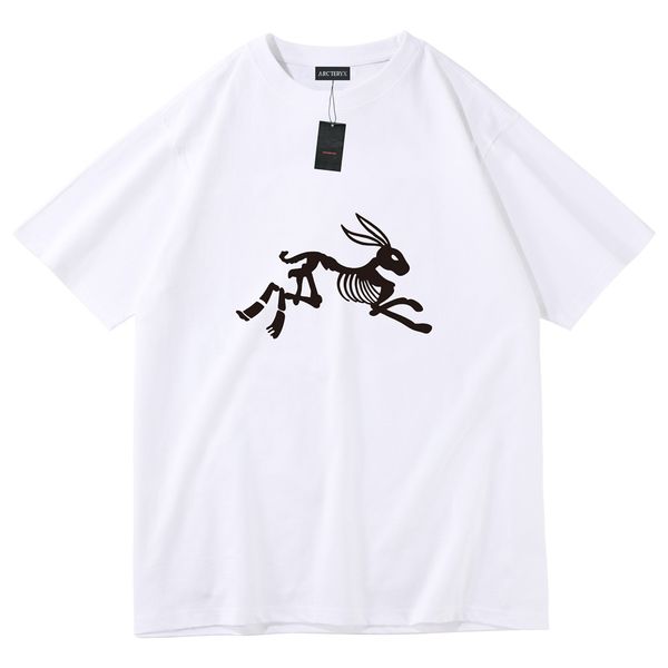 new arc'teryx t shirt simple letter logo loose short sleeved white black green arcteryx bird t-shirt dt003
new arc'teryx t shirt simple letter logo loose short sleeved white black green arcteryx bird t-shirt dt003