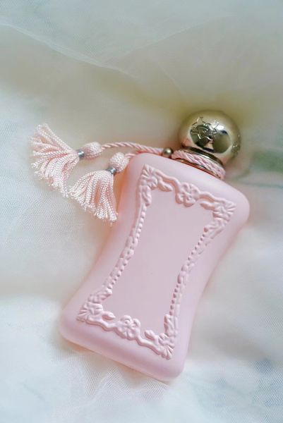 in stock perfume for women 75ml oriana spray edp lady fragrance christmas valentine day gift long lasting pleasant perfume ng
in stock perfume for women 75ml oriana spray edp lady fragrance christmas valentine day gift long lasting pleasant perfume ng