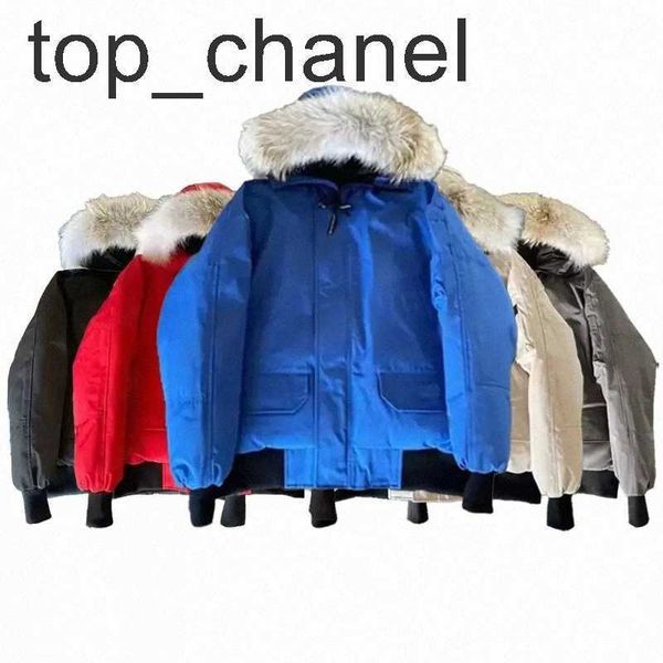 parkas coats mens womens designers down jackets veste homme winter puffer big fur hoody apparel fourrure letters printed outwears, Black
parkas coats mens womens designers down jackets veste homme winter puffer big fur hoody apparel fourrure letters printed outwears, Black