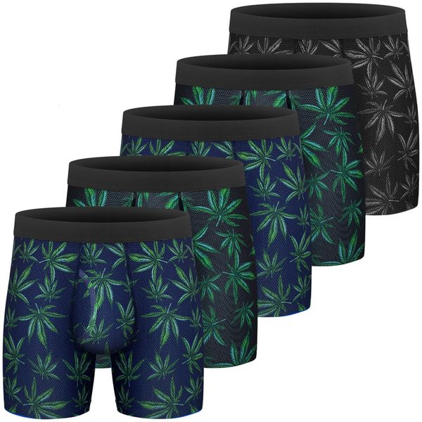 underpants 5pcs men s boxer briefs performance breathable tagless comfy silk waistband 6 with fly 230802, Black;white
underpants 5pcs men s boxer briefs performance breathable tagless comfy silk waistband 6 with fly 230802, Black;white