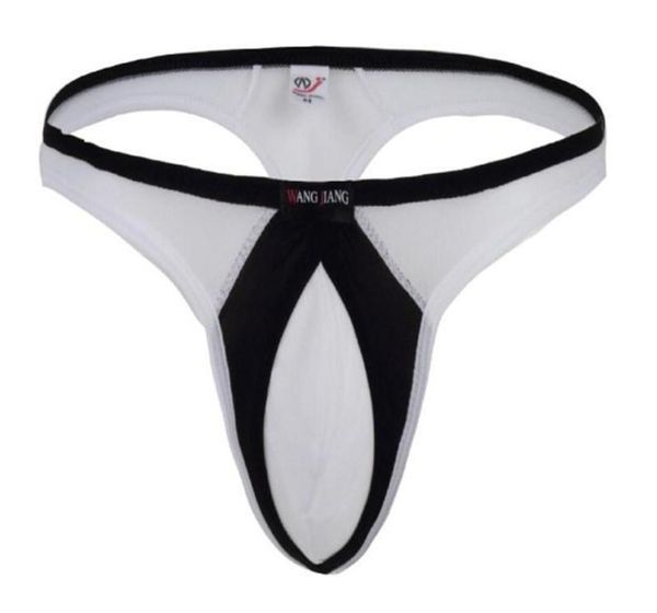 new men039s comfortsoft thongs smooth fabrics grasp bulge pouch gay underwear thong g string for gay6227175, Black;brown
new men039s comfortsoft thongs smooth fabrics grasp bulge pouch gay underwear thong g string for gay6227175, Black;brown