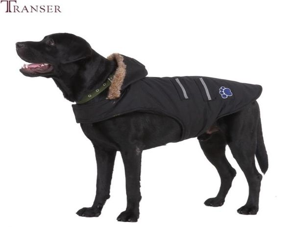 transer golden retriver big dog jacket coat faux fur hoodie outfit winter warm pet dog clothes for small medium rge dog 9822 t19303n3584678
transer golden retriver big dog jacket coat faux fur hoodie outfit winter warm pet dog clothes for small medium rge dog 9822 t19303n3584678