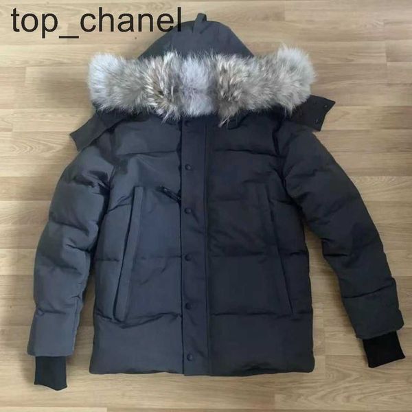 designer puffer jacket winter men down jackets veste homme outdoor jassen outerwear real coyote fur hooded hoodie fourrure manteau jacket co, Black
designer puffer jacket winter men down jackets veste homme outdoor jassen outerwear real coyote fur hooded hoodie fourrure manteau jacket co, Black